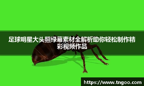 足球明星大头照绿幕素材全解析助你轻松制作精彩视频作品